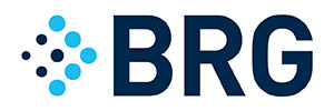 Berkeley Research Group Logo